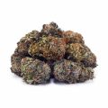D854A2-BUBBAKUSH-SUPREME