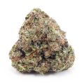 Buy Jack Herer AAAA at Supreme Dispensary