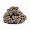 Buy Scooby Snacks AAAA at Supreme Dispensary