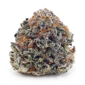 Buy Double OG AAA at Supreme Dispensary