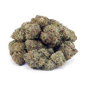 D876A2 GUAVABOMB SUPREME
