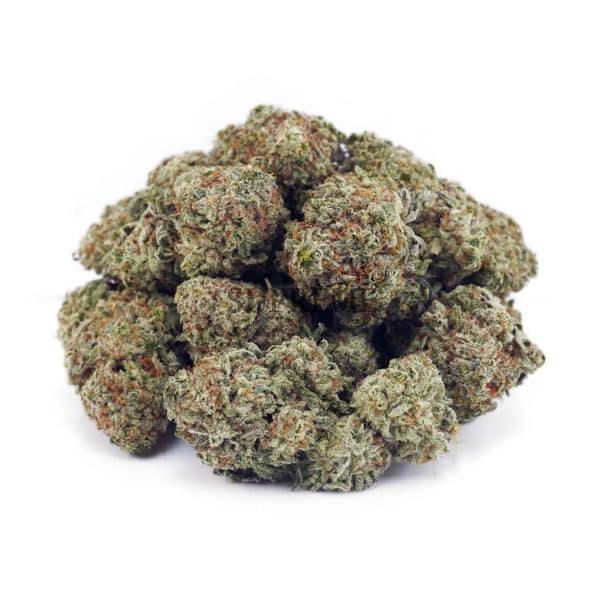 D876A2 GUAVABOMB SUPREME