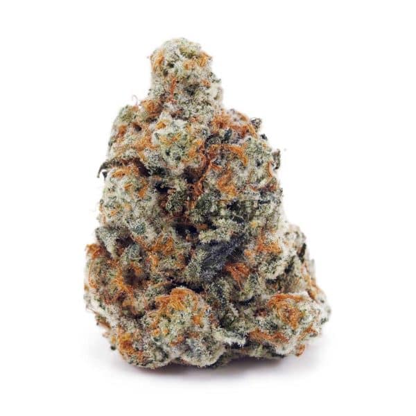 D883A1 PLATINUMCOOKIES SUPREME D883A1 PLATINUMCOOKIES SUPREME