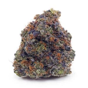 D890A1 PINKKUSH SUPREME