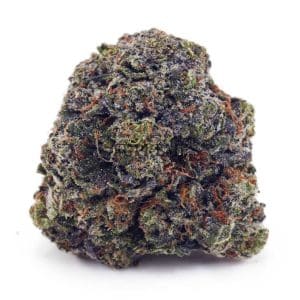 D892A1 MASTERKUSHULTRA SUPREME