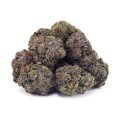 D892A2 MASTERKUSHULTRA SUPREME