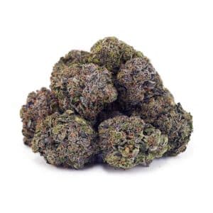 D892A2 MASTERKUSHULTRA SUPREME