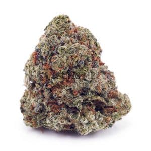 D894A1 GHOSTTRAINHAZE SUPREME