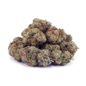 D894A2 GHOSTTRAINHAZE SUPREME