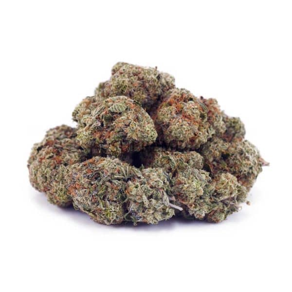 D894A2 GHOSTTRAINHAZE SUPREME