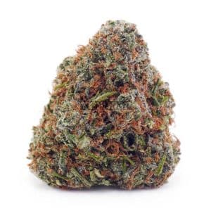 D896A1 SLURRICANE SUPREME