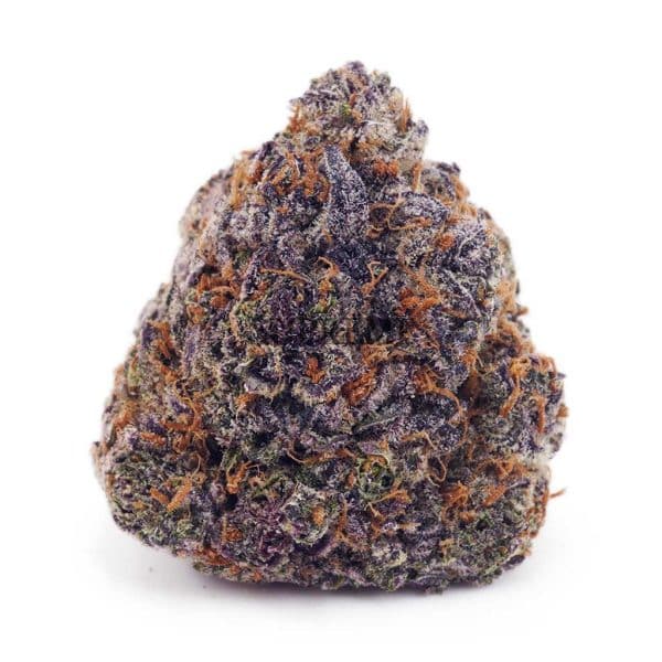 Buy Bubble Gum Kush AAA at Supreme Dispensary Buy Bubble Gum Kush AAA at Supreme Dispensary
