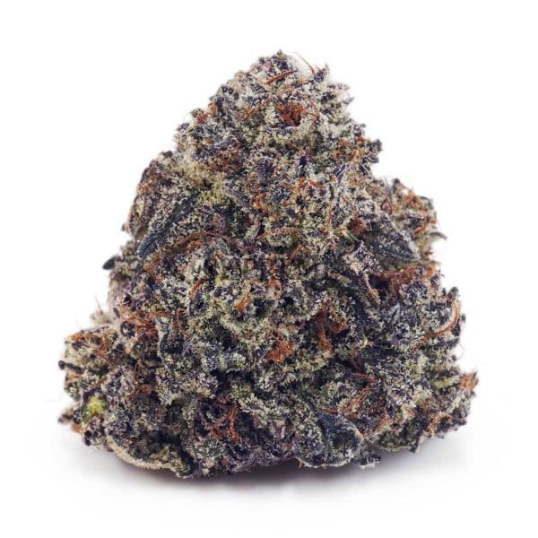 Buy Black Truffle AAA at Supreme Dispensary