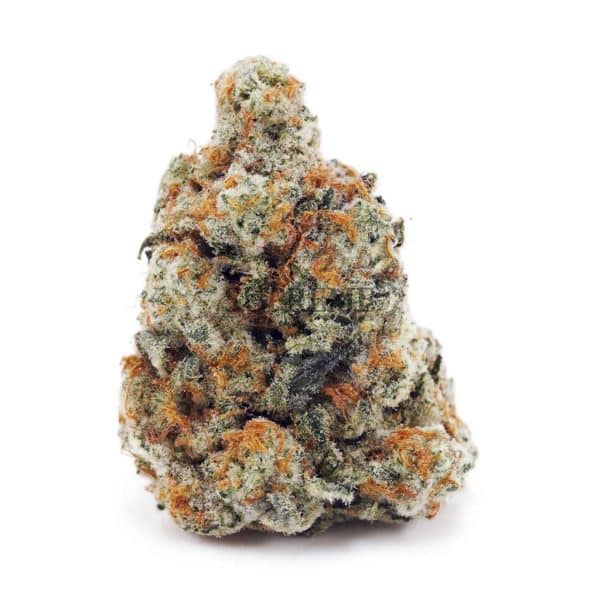 Buy Ghost Train Haze AAA at Supreme Dispensary