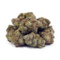 Buy Pink Rockstar AAAA at Supreme Dispensary