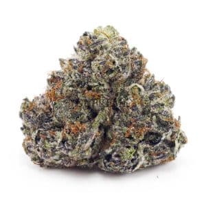 Buy Mike Tyson (Craft Cannabis) at Supreme Dispensary