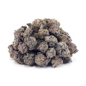 Buy Champagne Kush AAAA - (Popcorn Buds) at Supreme Dispensary