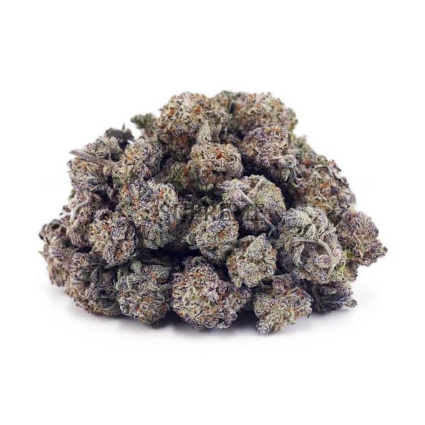 Buy Champagne Kush AAAA - (Popcorn Buds) at Supreme Dispensary