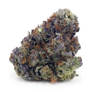 Buy El Chapo AAAA at Supreme Dispensary