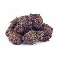Buy Orange Creamsicle AAA at Supreme Dispensary