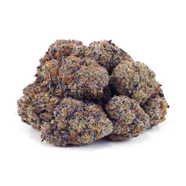 Buy Laughing Buddha (Craft Cannabis) at Supreme Dispensary Buy Laughing Buddha (Craft Cannabis) at Supreme Dispensary