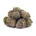 Buy Trainwreck AAAA at Supreme Dispensary