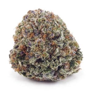 Buy Grape Stomper AAA at Supreme Dispensary