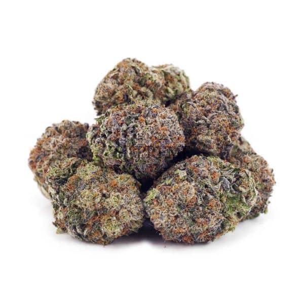 Buy Grape Stomper AAA at Supreme Dispensary Buy Grape Stomper AAA at Supreme Dispensary