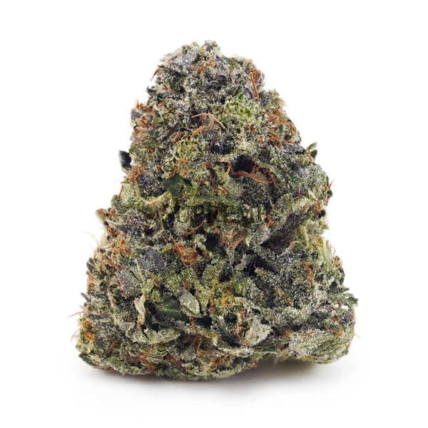 Buy Crazy Glue AA at Supreme Dispensary Buy Crazy Glue AA at Supreme Dispensary