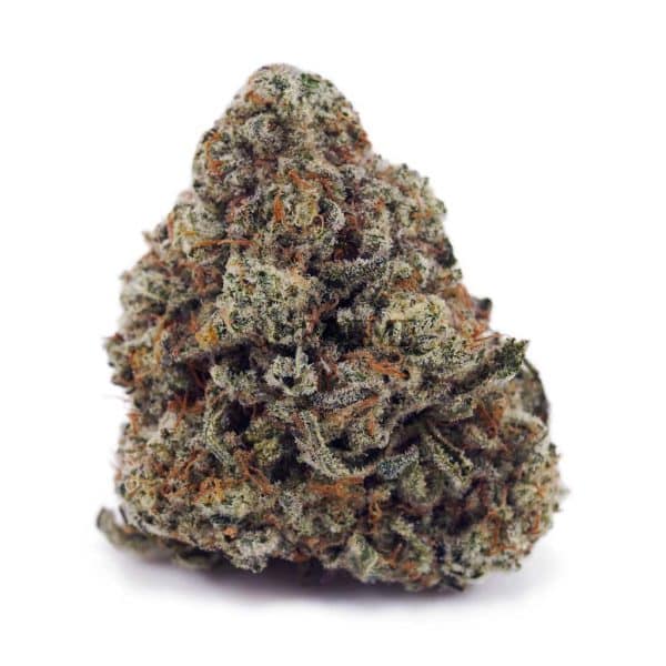 Buy Blackberry Haze AAA at Supreme Dispensary