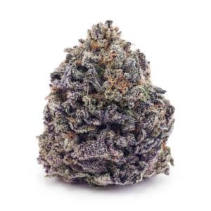 Buy Blue Dream AAA at Supreme Dispensary
