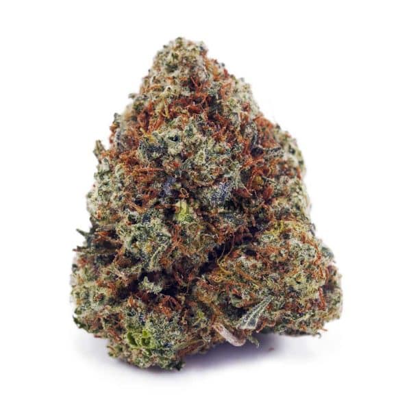 Buy Island Sweet Skunk AAA at Supreme Dispensary Buy Island Sweet Skunk AAA at Supreme Dispensary