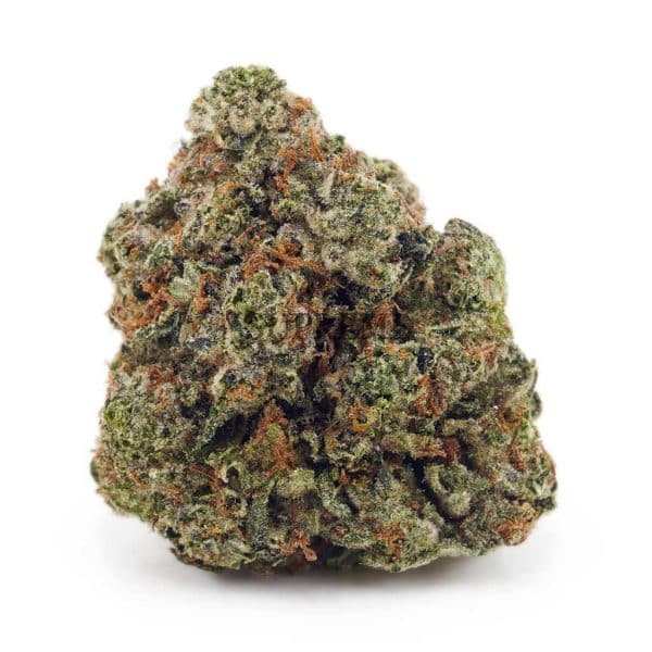 Buy Candy Land AAAA at Supreme Dispensary Buy Candy Land AAAA at Supreme Dispensary