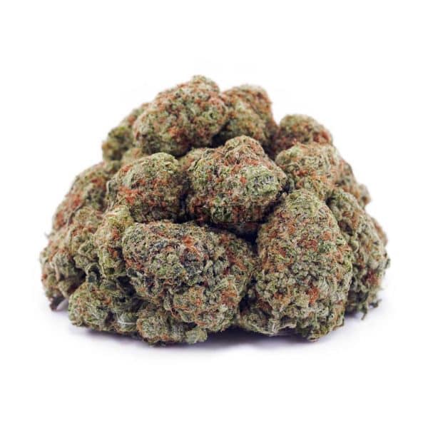 Buy Cinderella 99 AAA at Supreme Dispensary Buy Cinderella 99 AAA at Supreme Dispensary