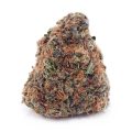 Buy Chocolope AA at Supreme Dispensary