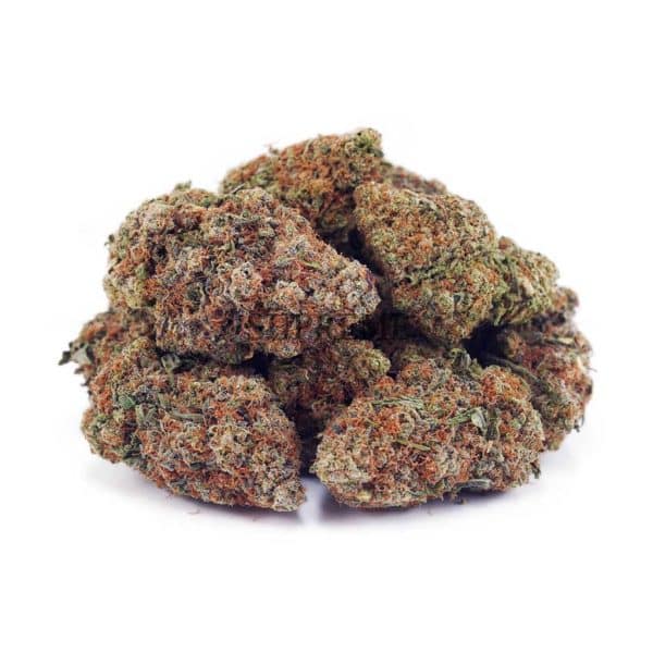 Buy Chocolope AA at Supreme Dispensary Buy Chocolope AA at Supreme Dispensary
