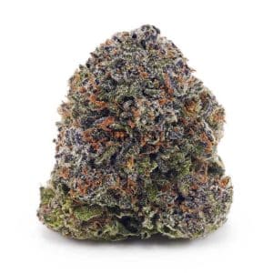 Buy Blueberry Stomper AAA at Supreme Dispensary