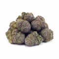 Buy Blueberry Stomper AAA at Supreme Dispensary