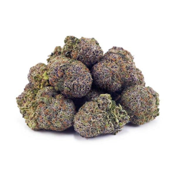 Buy Blueberry Stomper AAA at Supreme Dispensary