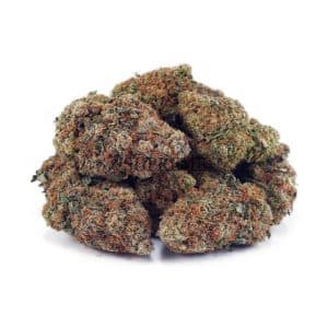 Buy Runtz AA at Supreme Dispensary