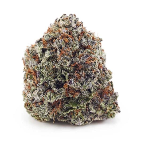 Buy Dank Kush Breath (Craft Cannabis) at Supreme Dispensary Buy Dank Kush Breath (Craft Cannabis) at Supreme Dispensary
