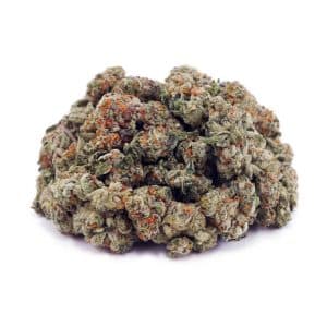 Buy Fortune Cookies AAAA - (Popcorn Buds) at Supreme Dispensary