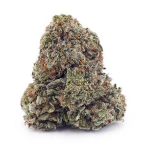 Buy Blue Dream AAA at Supreme Dispensary