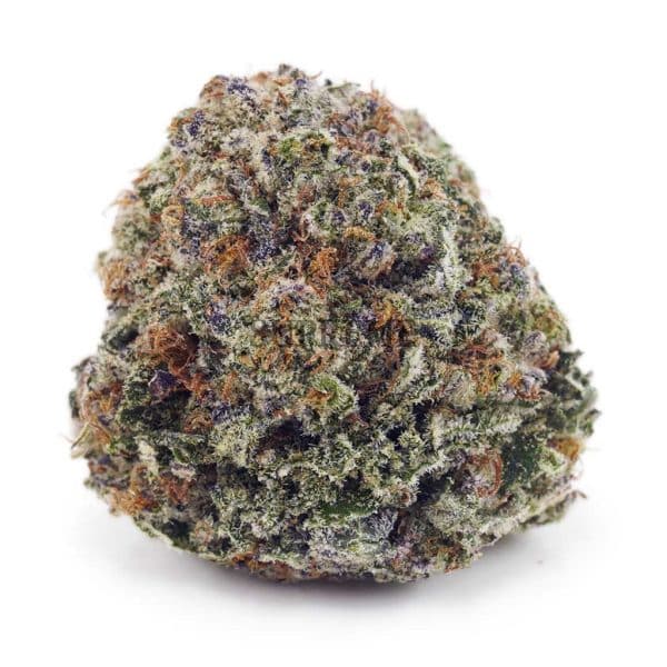 Buy 33 Splitter (Craft Cannabis) at Supreme Dispensary Buy 33 Splitter (Craft Cannabis) at Supreme Dispensary
