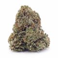 Buy Banana OG AAA at Supreme Dispensary