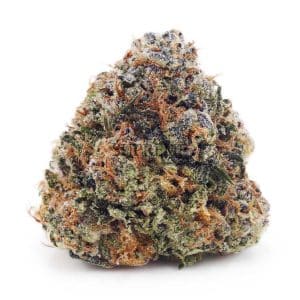 Buy Jack Herer AA at Supreme Dispensary