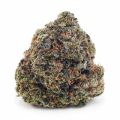 Buy Champagne Kush AAAA at Supreme Dispensary