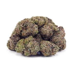 Buy Champagne Kush AAAA at Supreme Dispensary