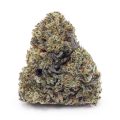 Buy Blackberry Punch AA at Supreme Dispensary