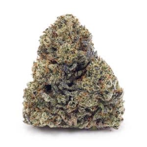 Buy Blackberry Punch AA at Supreme Dispensary
